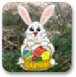 找到复活节小兔子