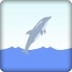 海豚跃水1